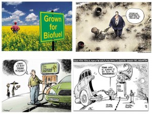 biofuels