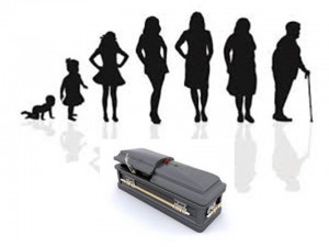 life female