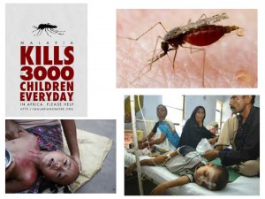 malaria