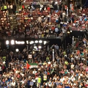 flags at convention democ2