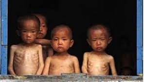 north korean diet 5