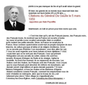 de gaulle immigration quote
